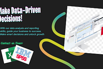 turn data into strategy with expert excel and spss analysis