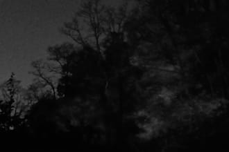 write a halloween tips article up to 400 words