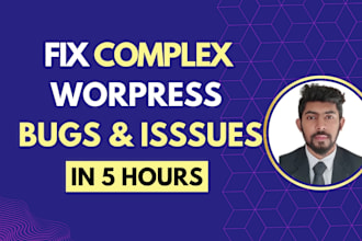 fix wordpress bugs, wordpress issues, wordpress errors