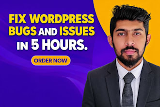 fix wordpress bugs, wordpress issues, wordpress errors