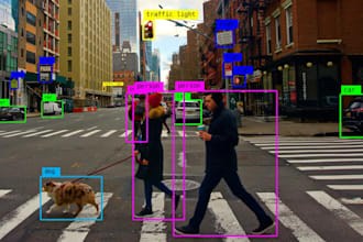 provide expert machine learning solutions for computer vision and nlp tasks