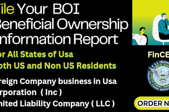 file fincen boi report for your US llc and corporation
