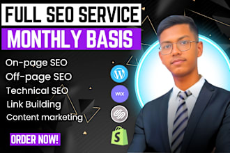 provide full semantic SEO service monthly packages