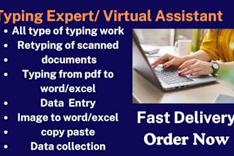 do typing job, retyping, data entry, excel data entry, your typist