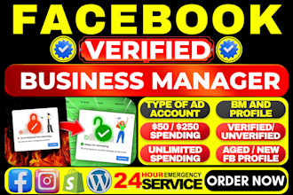 set up facebook business manager and ad account with expert fb ads consultation