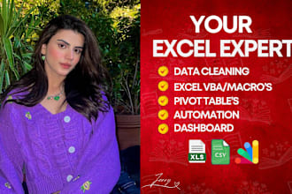 do excel graphs, charts, pivot table, data cleaning, PDF to excel and dashboard