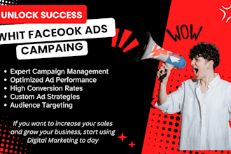 set up a facebook ads campaign  to boost your  business