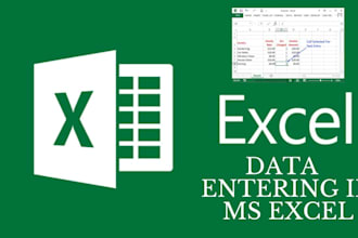 do advanced excel formatting, professional word docs,