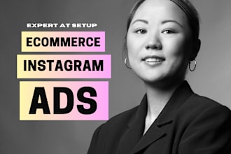run instagram ads for ecommerce business, meta ads expert