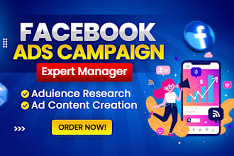 be your facebook and instagram meta ads campaign manager