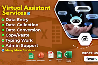 be your virtual assistant for data entry, typing and web research