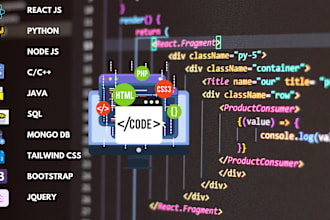 do low cost development for python java and js assignments