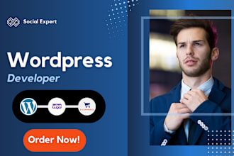 design, redesign, build, rebuild,  edit, wordpress website
