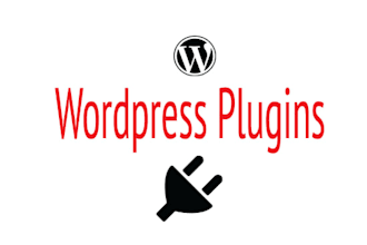 provide a wordpress plugin