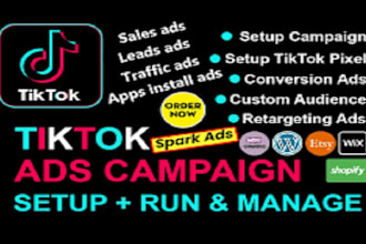 setup tik tok ads campaign, tik tok ads, manage tik tok ads video