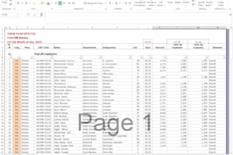 create excel dashboard, automate reports data payroll sheets