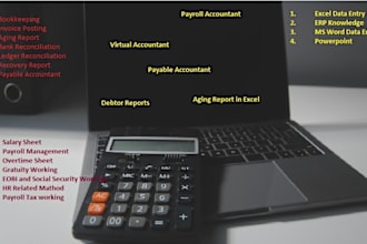 do virtual and payroll accountant, data entry and excel  bookkeeper