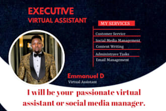 be your social media manager, meta facebook ads manager or VA