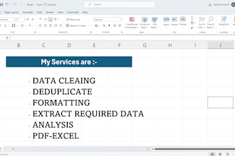 excel data cleaning ,formatting services,insightful analysis
