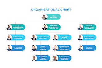 create modern org charts or organizational charts, flowcharts within 12 hours