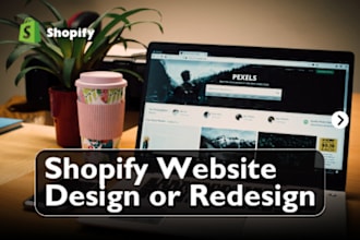 design a professional shopify website for your business