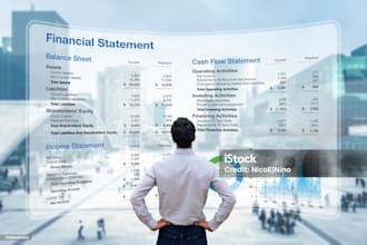 financial models, mis reports, financial statements and investor pitch decks