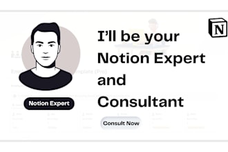 be your notion expert and notion consultant for your projects