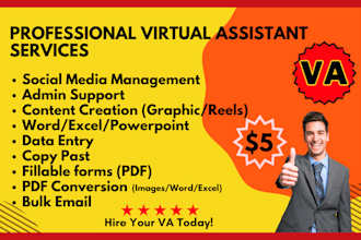 be your professional virtual assistant for admin needs and social media VA