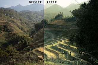 do photo color grade and color correction