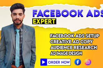 be an expert meta ads campaign