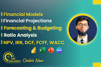 provide financial models, projections, forecasting,budgeting