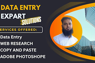 do data entry, data mining, wed research, quick task