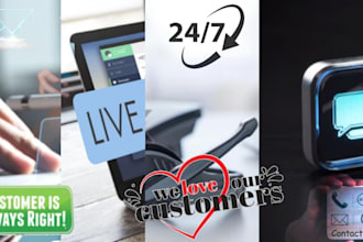 provide customer service, email and chat support