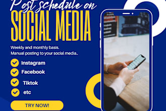 schedule your post on social media, VA and listening service