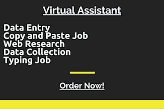 do fast data entry, data typing and data copy paste