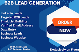 provide linkedin b2b lead generation using sales navigator