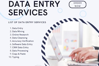 do excel data entry, data entry, PDF to word data entry