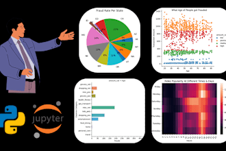do data analysis, visualization and reporting using python