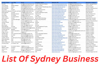 provide professional b2b lead generation, mining, ,email collection services