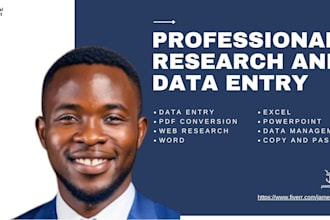 provide accurate data entry, copy and paste tasks, web research, web scraping