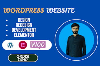 develop wordpress website, design,redesign website  web SEO
