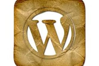 setup a new wordpress website for you