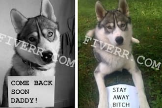 have my dog, a husky to advertise your business or send a message to your friend