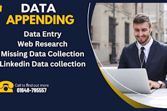 do data enrichment and data entry