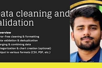 perform data processing, cleaning, and validation