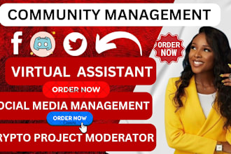 do community moderator, discord telegram gaming project crypto tiktok VA manager