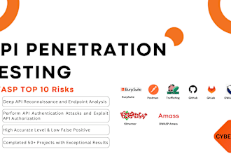 perform API penetration testing and security review