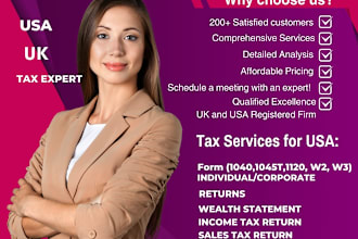 provide expert tax filing services by CPA and acca certified