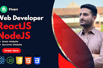 create a static, dynamic website in reactjs, nodejs,nextjs