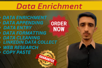 do data enrichment, data appending, data entry and missing data collection